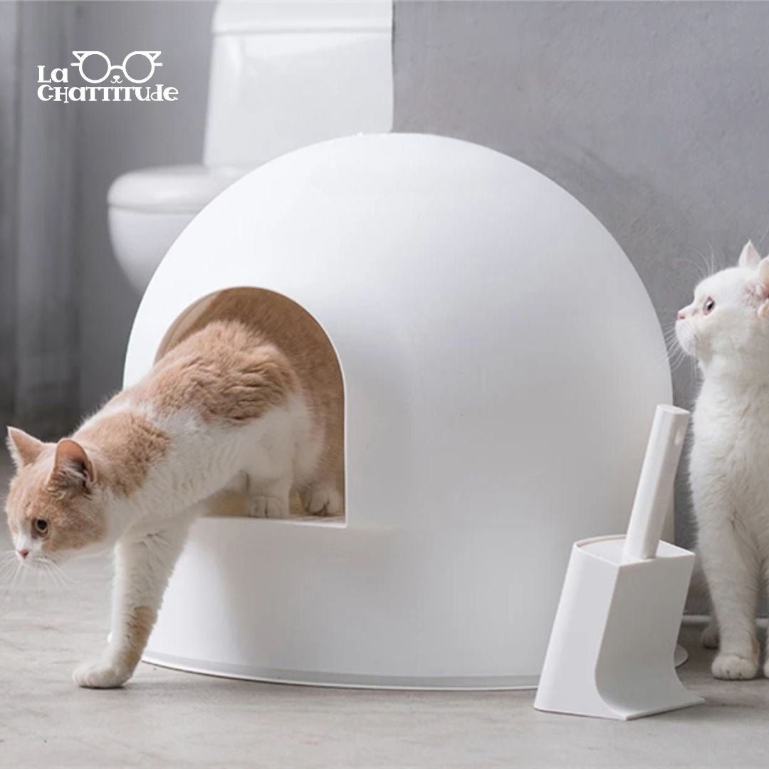 BAC À LITIÈRE CHAT - Anti Débordement | Litière - Igloo™ - La Chattitude