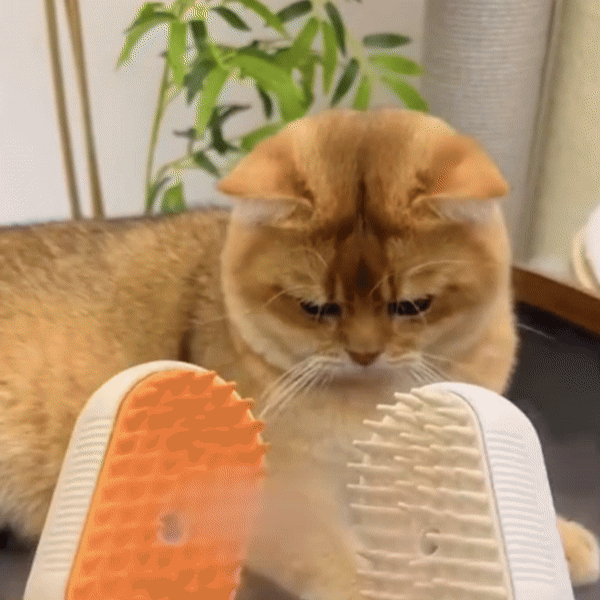 brosse-pour-chat-solution-vapobrush-gif