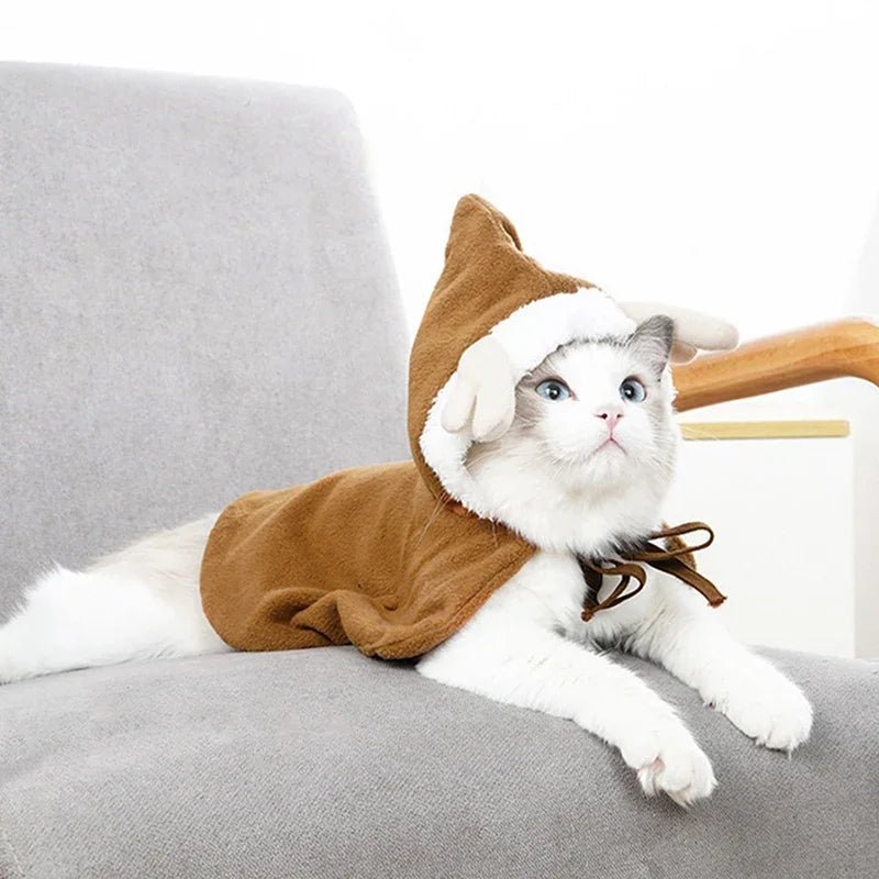DEGUISEMENT CHAT - Déguisement chat de Noël | KittyCap™ - La Chattitude