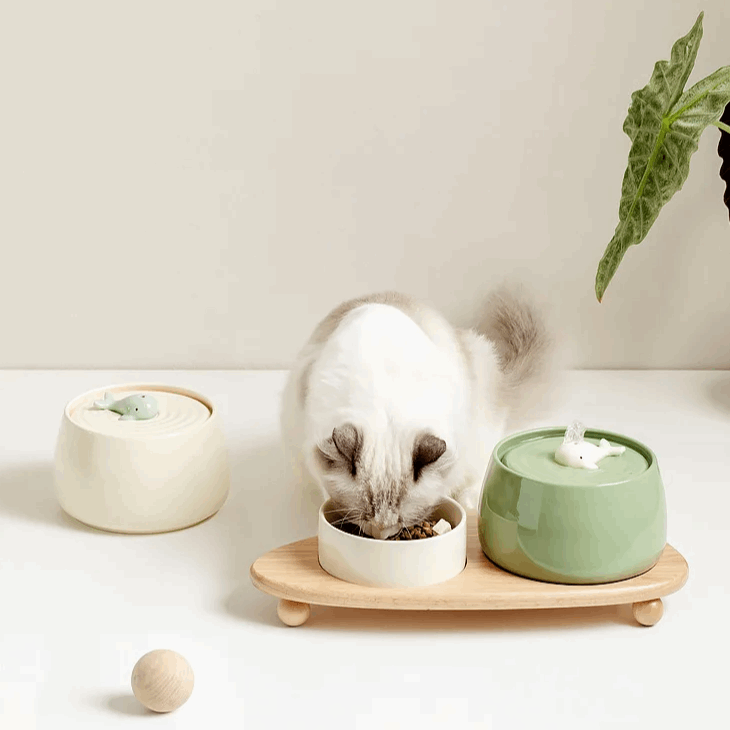 FONTAINE A EAU CHAT - Céramique | CeramFountain™ - La Chattitude