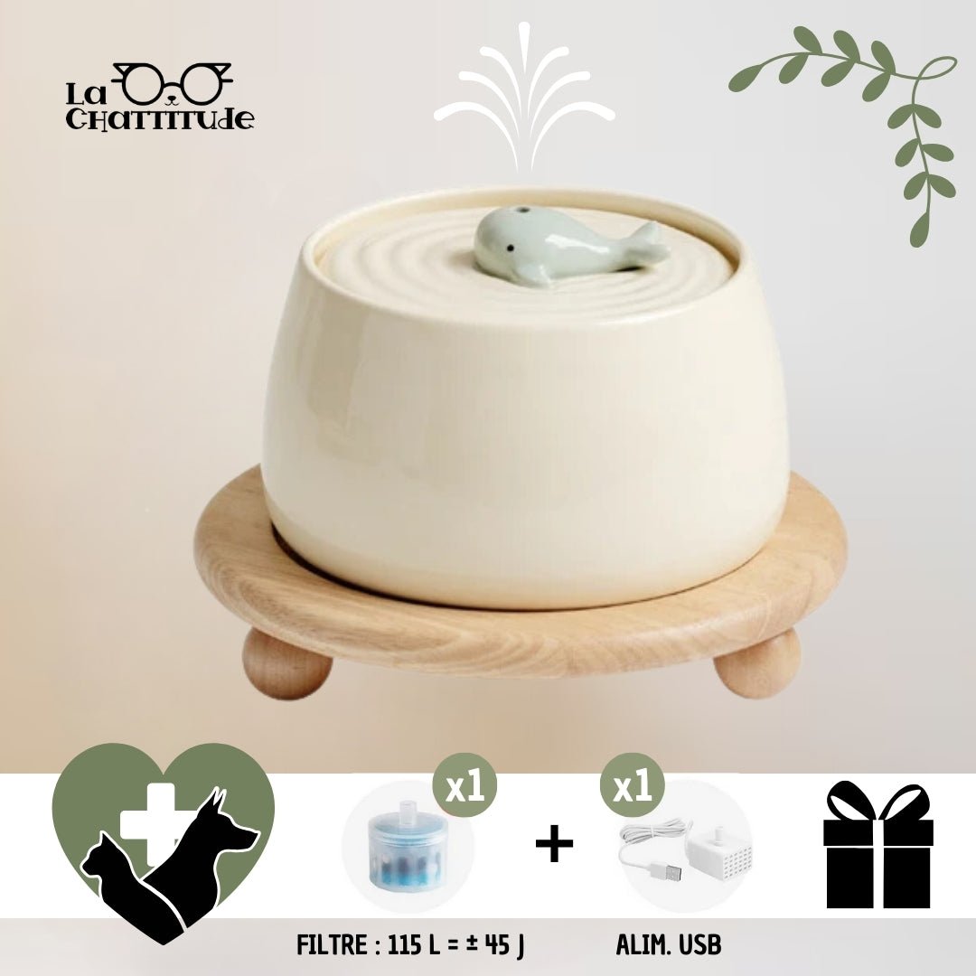 FONTAINE A EAU CHAT - Céramique | CeramFountain™ - La Chattitude