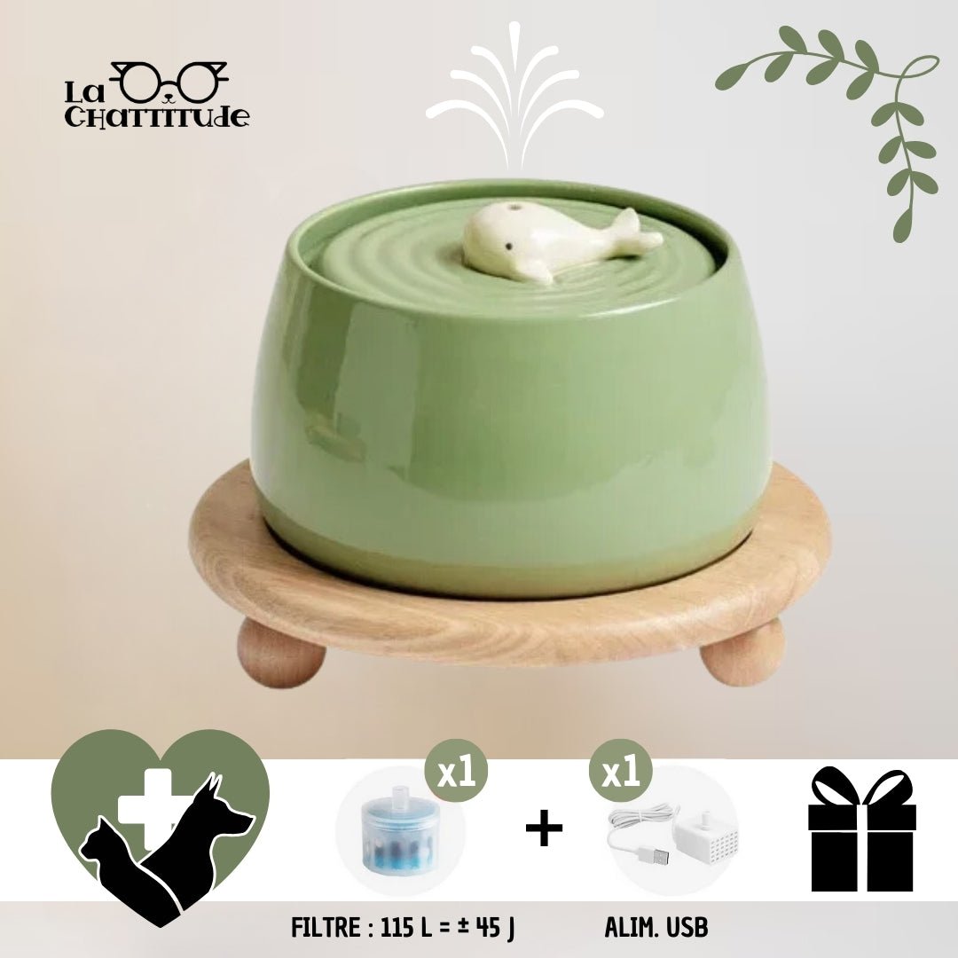 FONTAINE A EAU CHAT - Céramique | CeramFountain™ - La Chattitude