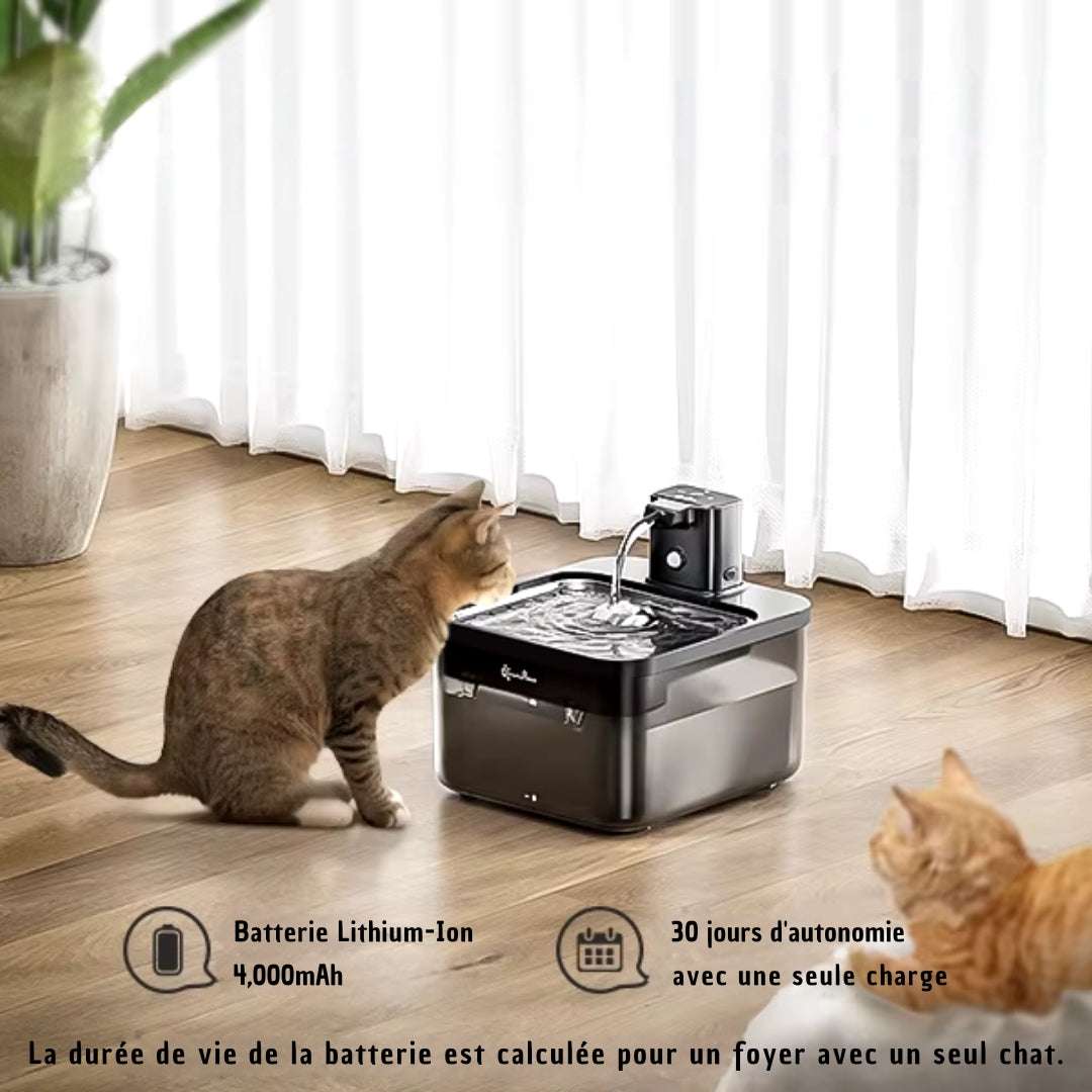 FONTAINE À EAU CHAT | DownyPaws™ - La Chattitude
