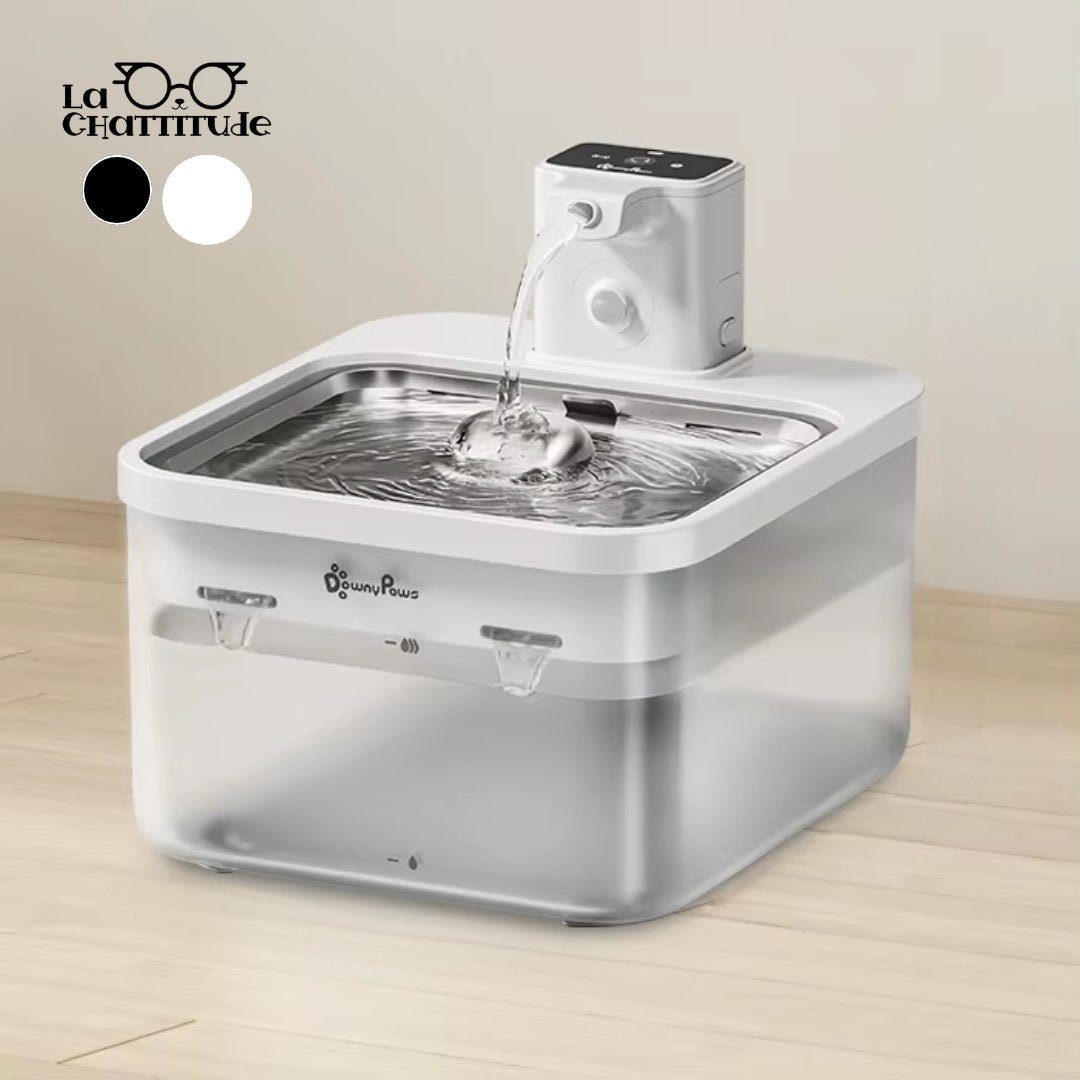 FONTAINE À EAU CHAT | DownyPaws™ - La Chattitude