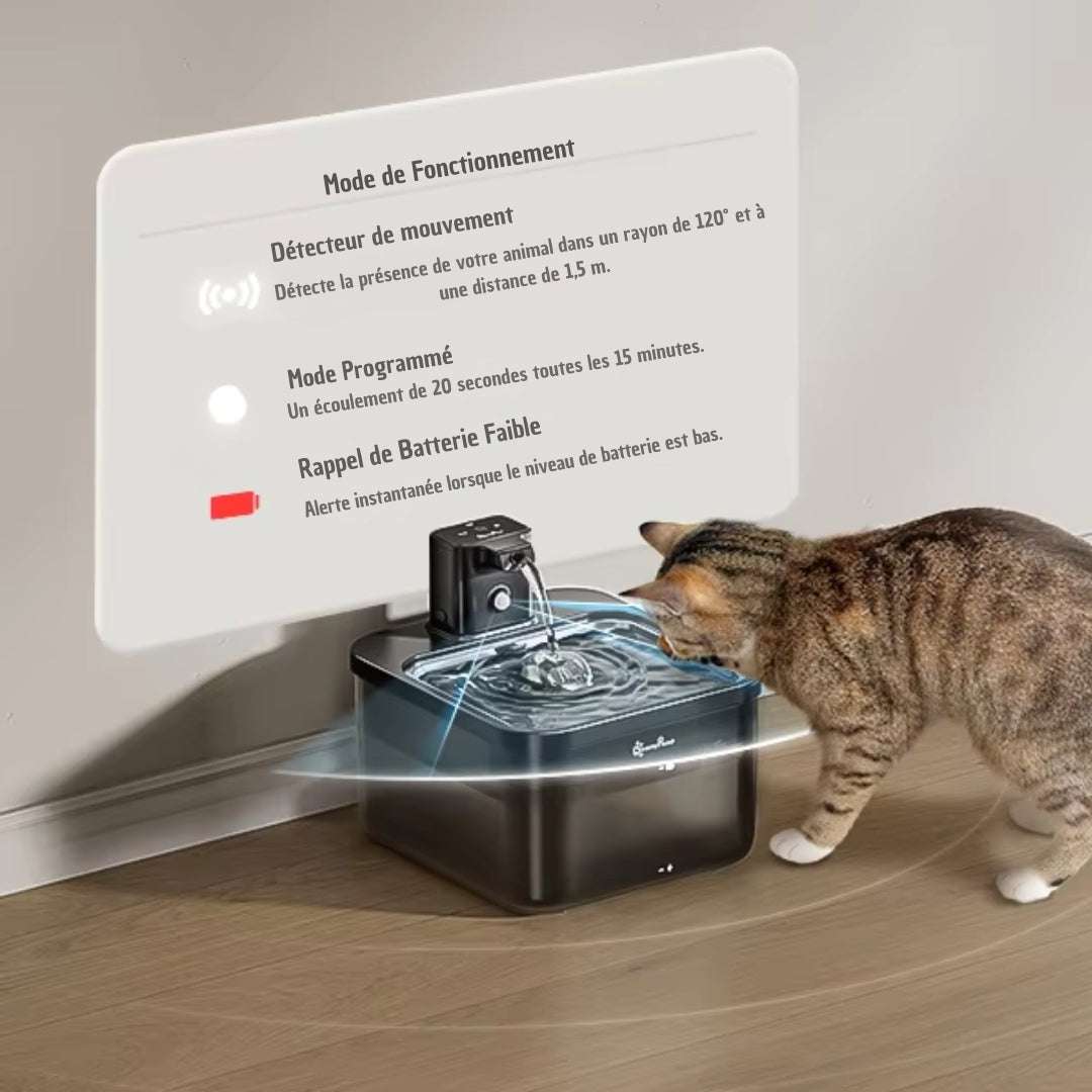 FONTAINE À EAU CHAT | DownyPaws™ - La Chattitude