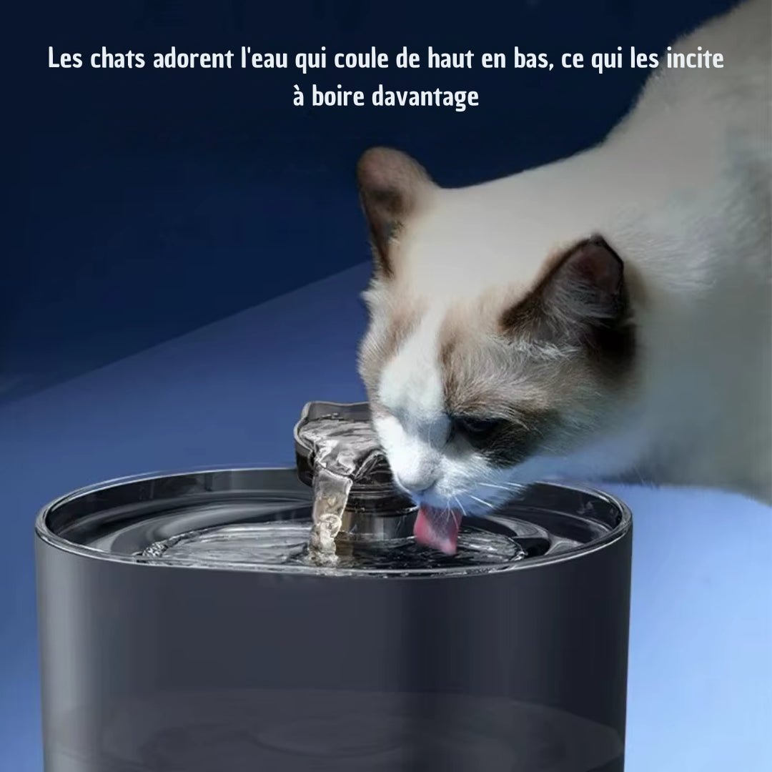 FONTAINE A EAU CHAT | HydroPawsâą - La Chattitude