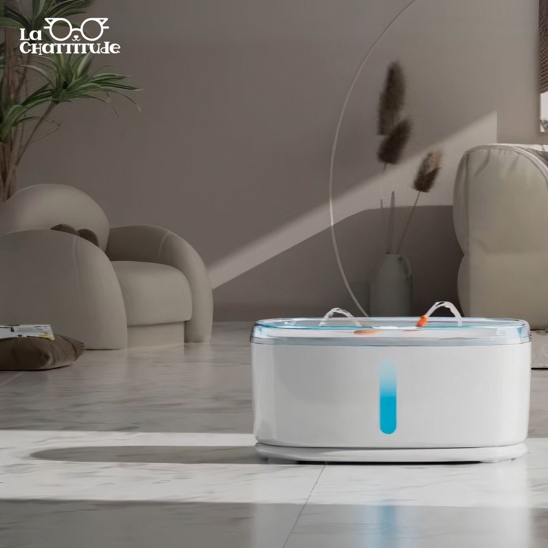FONTAINE À EAU CHAT | ROJECO™ - La Chattitude