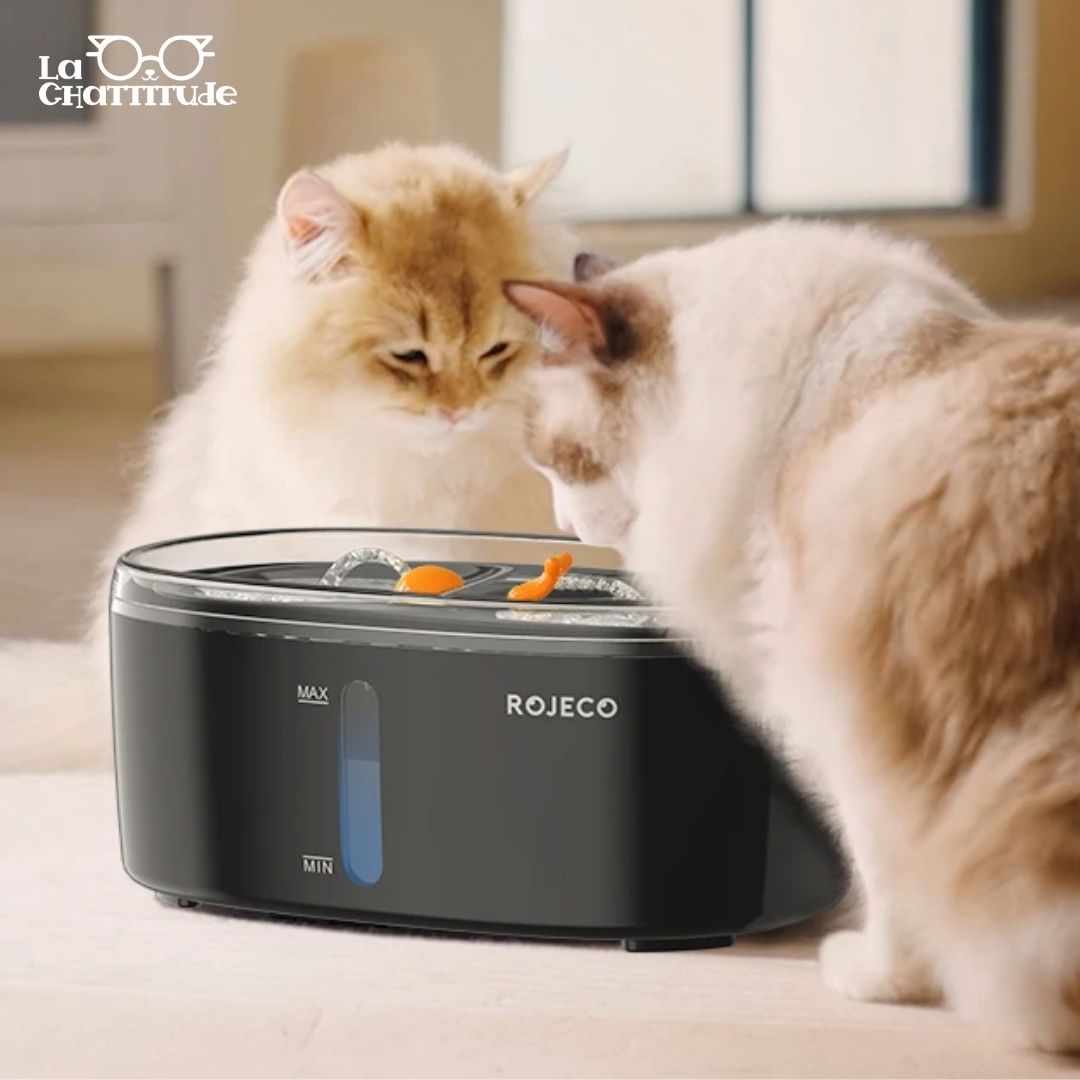 FONTAINE À EAU CHAT | ROJECO™ - La Chattitude