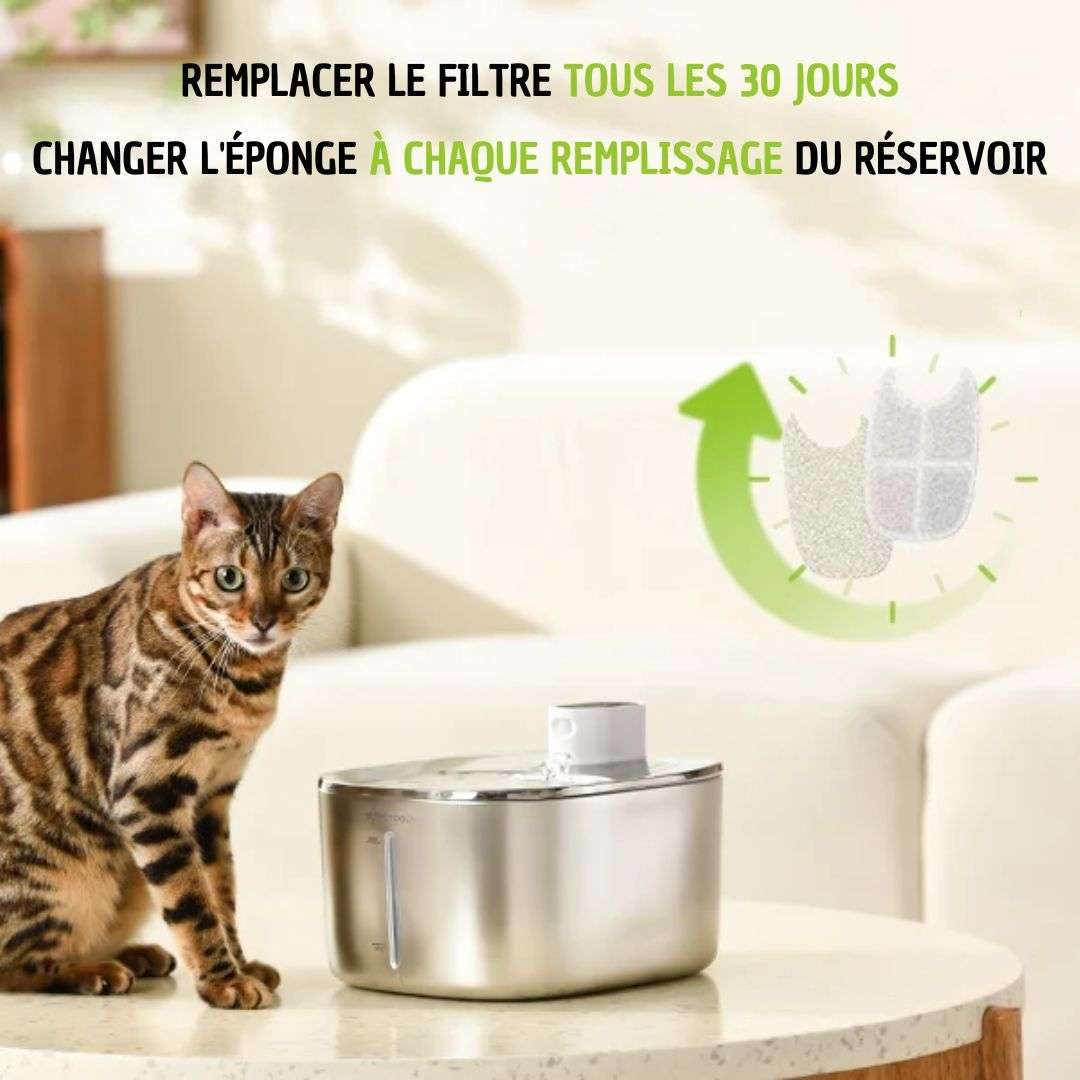 FONTAINE À EAU POUR CHAT | ApetDola™ - La Chattitude