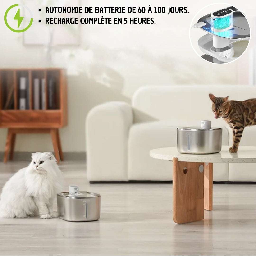FONTAINE À EAU POUR CHAT | ApetDola™ - La Chattitude