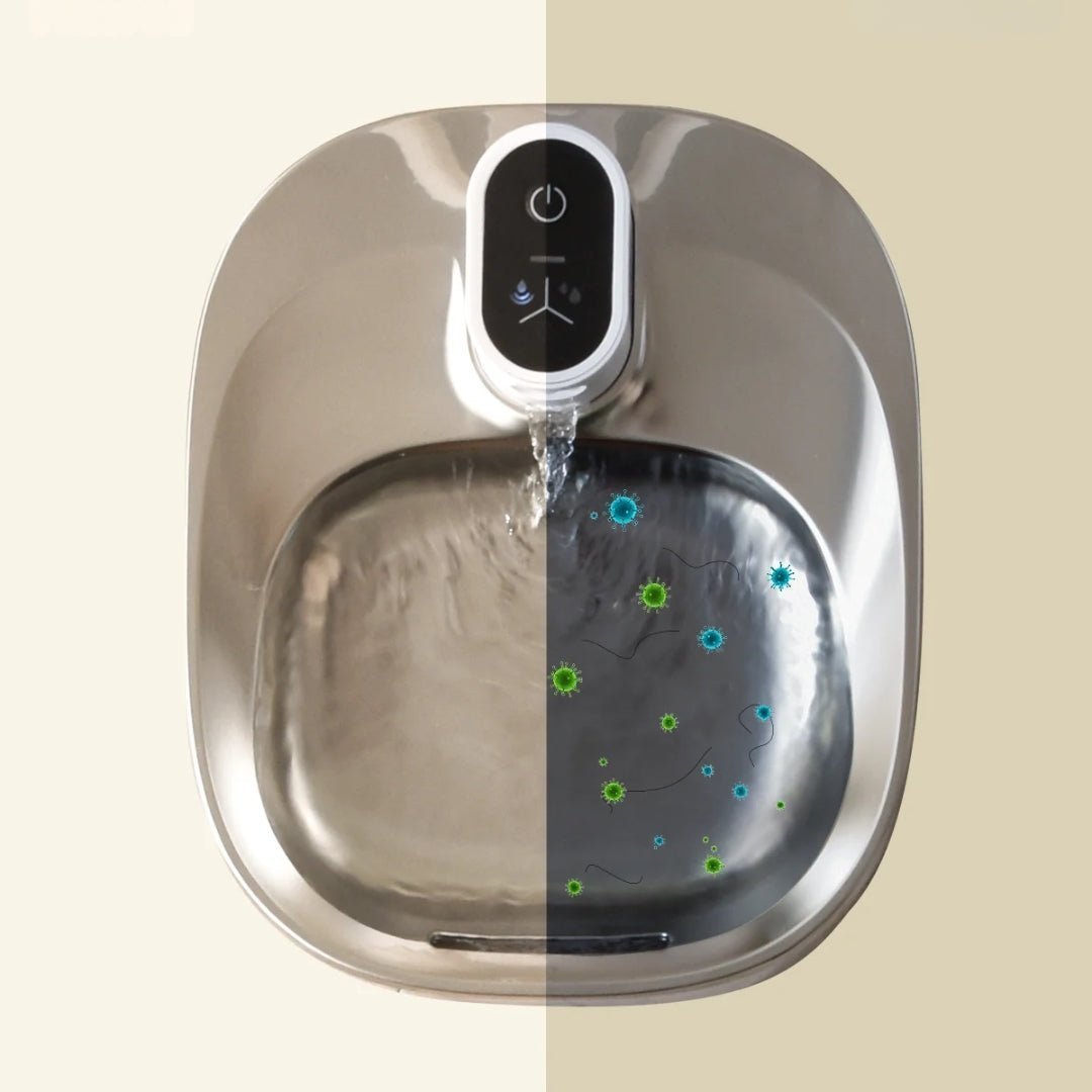FONTAINE À EAU POUR CHAT | ApetDola™ - La Chattitude