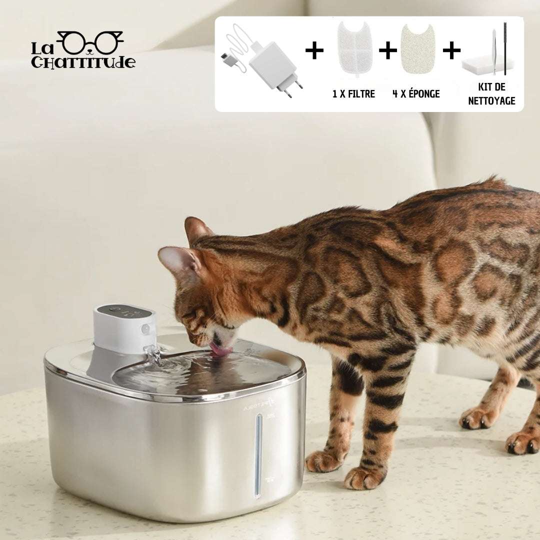 FONTAINE À EAU POUR CHAT | ApetDola™ - La Chattitude