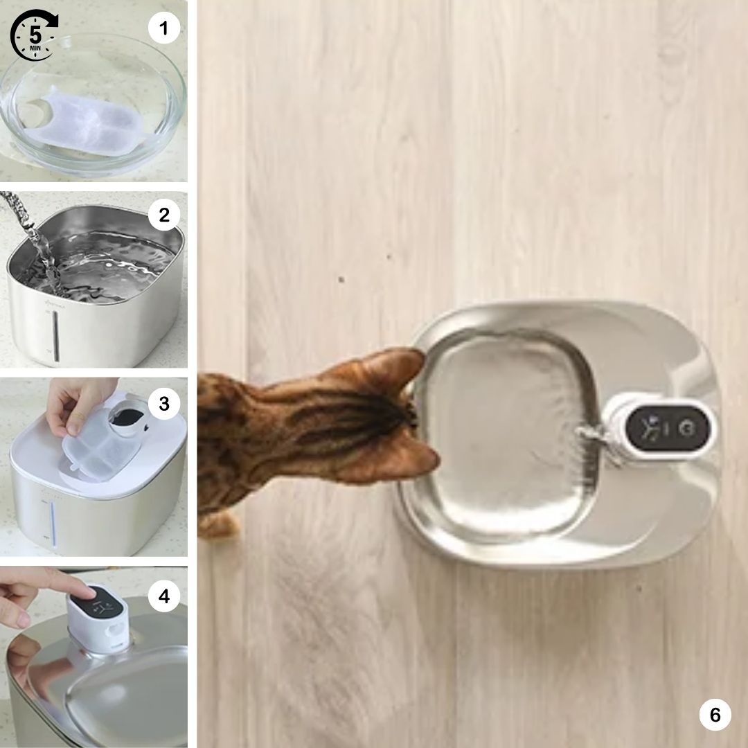 FONTAINE À EAU POUR CHAT | ApetDola™ - La Chattitude