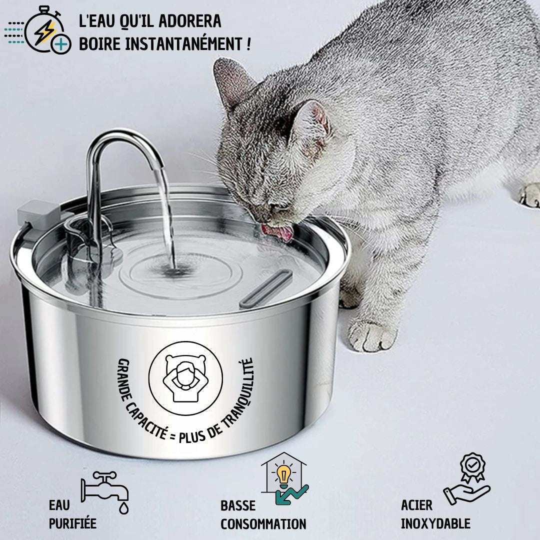 FONTAINE À EAU POUR CHAT | PetWater™ - La Chattitude