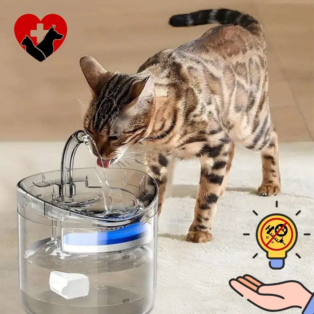 FONTAINE EAU CHAT | Crystal - Fountainâą - La Chattitude