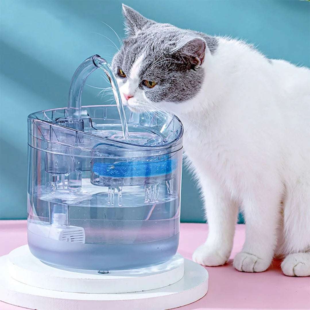 FONTAINE EAU CHAT | Crystal - Fountainâą - La Chattitude