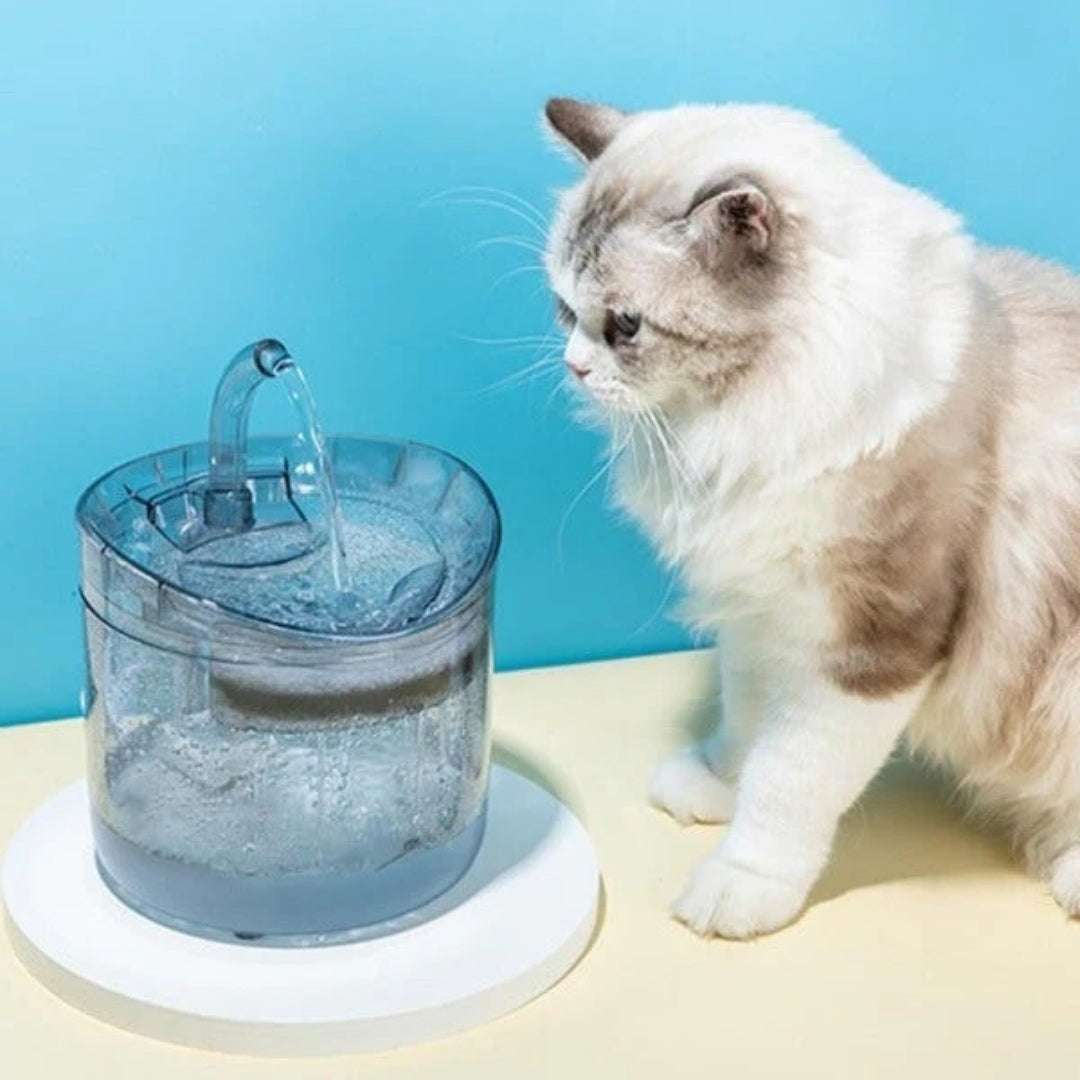 FONTAINE EAU CHAT | Crystal - Fountainâą - La Chattitude