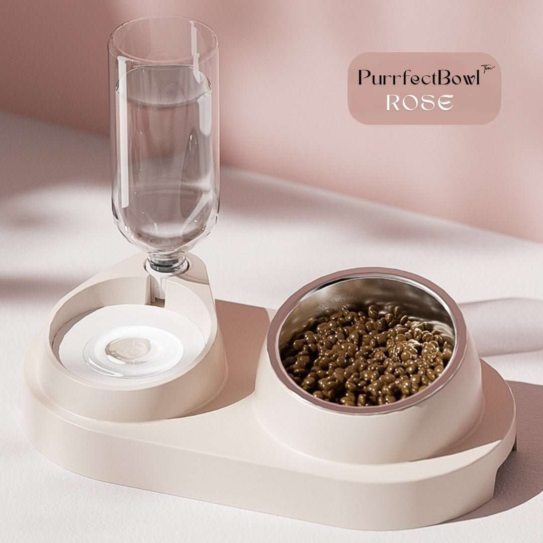 GAMELLE CHAT - 2 en 1 | PurrfectBowl™ - La Chattitude