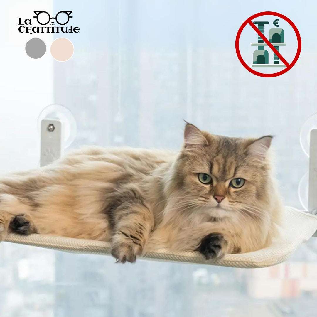 HAMAC POUR CHAT - Pliable | Kitty - Perch™ - La Chattitude