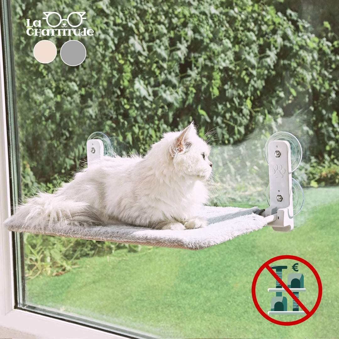HAMAC POUR CHAT - Pliable | Kitty - Perch™ - La Chattitude