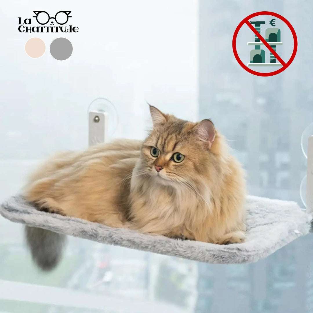 HAMAC POUR CHAT - Pliable | Kitty - Perch™ - La Chattitude
