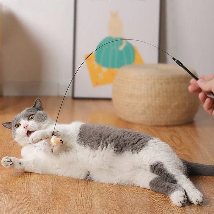Jouet pour chat | ToyStick™ - La Chattitude