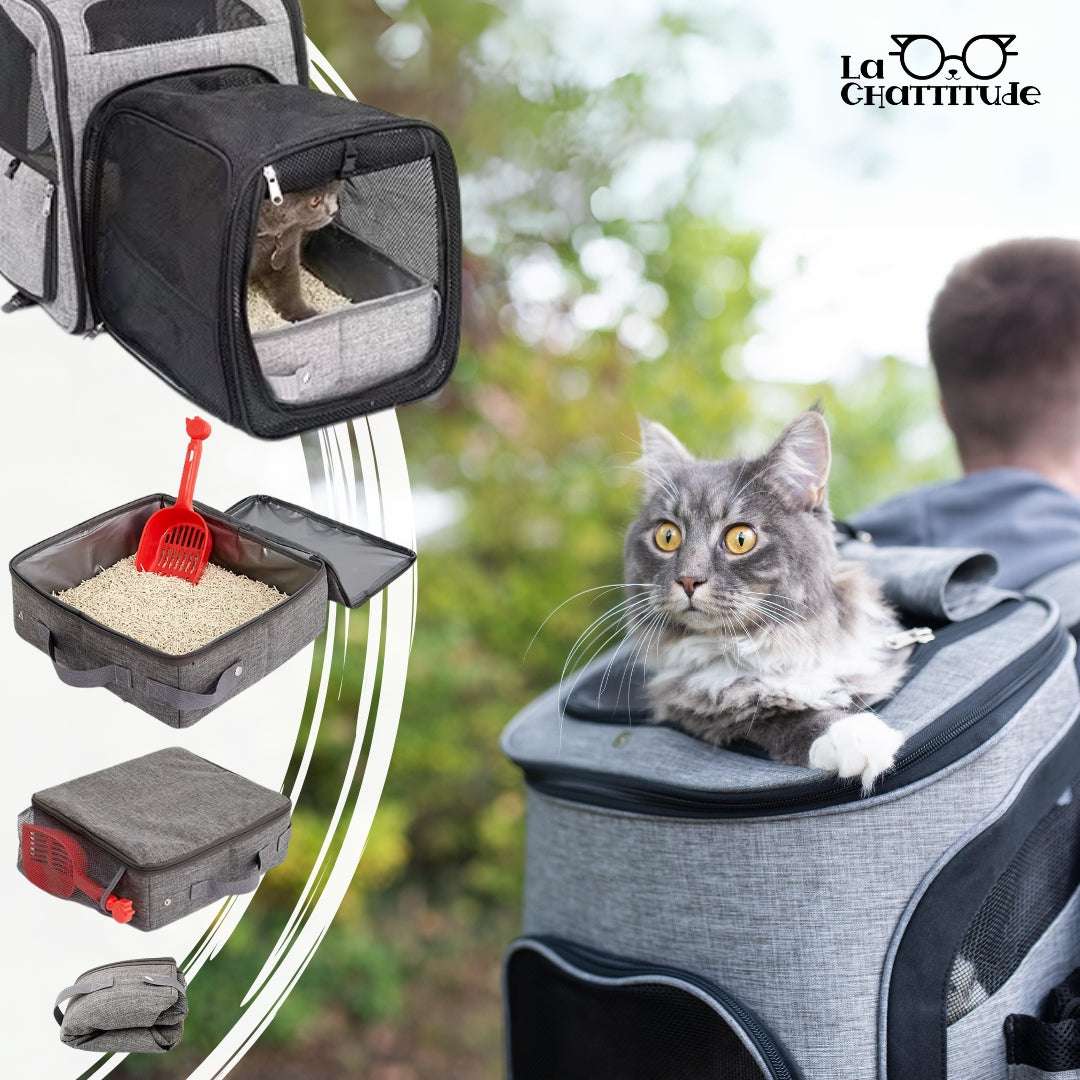 LITIERE POUR CHAT | Litiere - Nomade™ litière transportable - La Chattitude