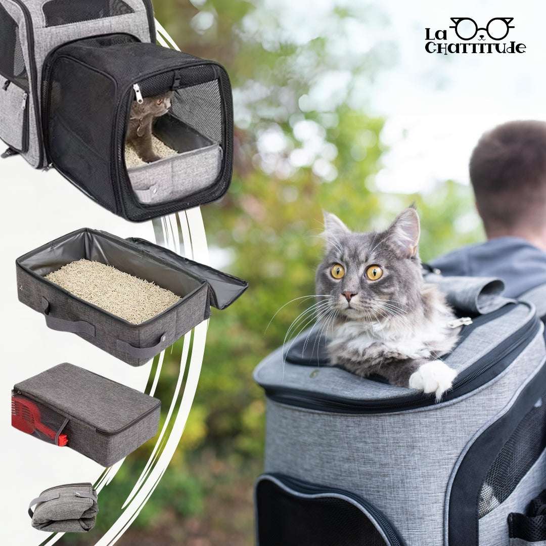 LITIERE POUR CHAT | Litiere - Nomade™ litière transportable - La Chattitude