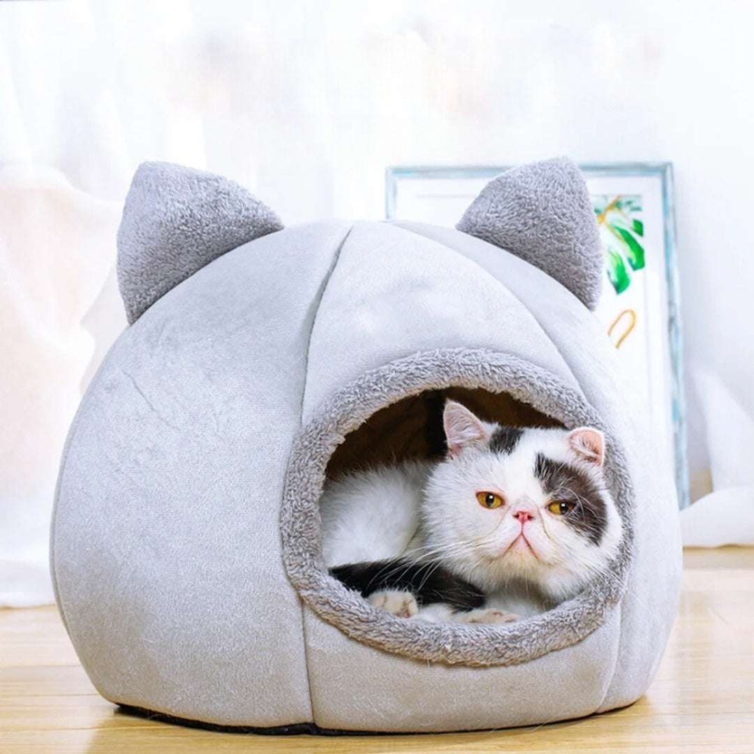 NICHE POUR CHAT - Maison pour chat | Comfy - House™ - La Chattitude