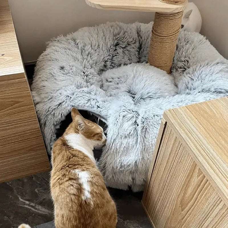 PANIER CHAT - Tunnel pour chat multifonction | Dream - Cave™ - La Chattitude