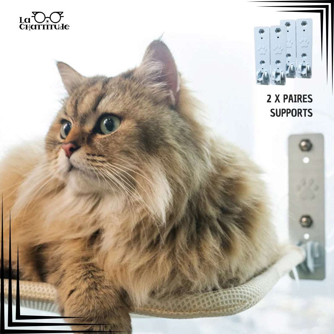 Supports Ventouses - hamac chat pliable | Kitty - Perch™ - La Chattitude