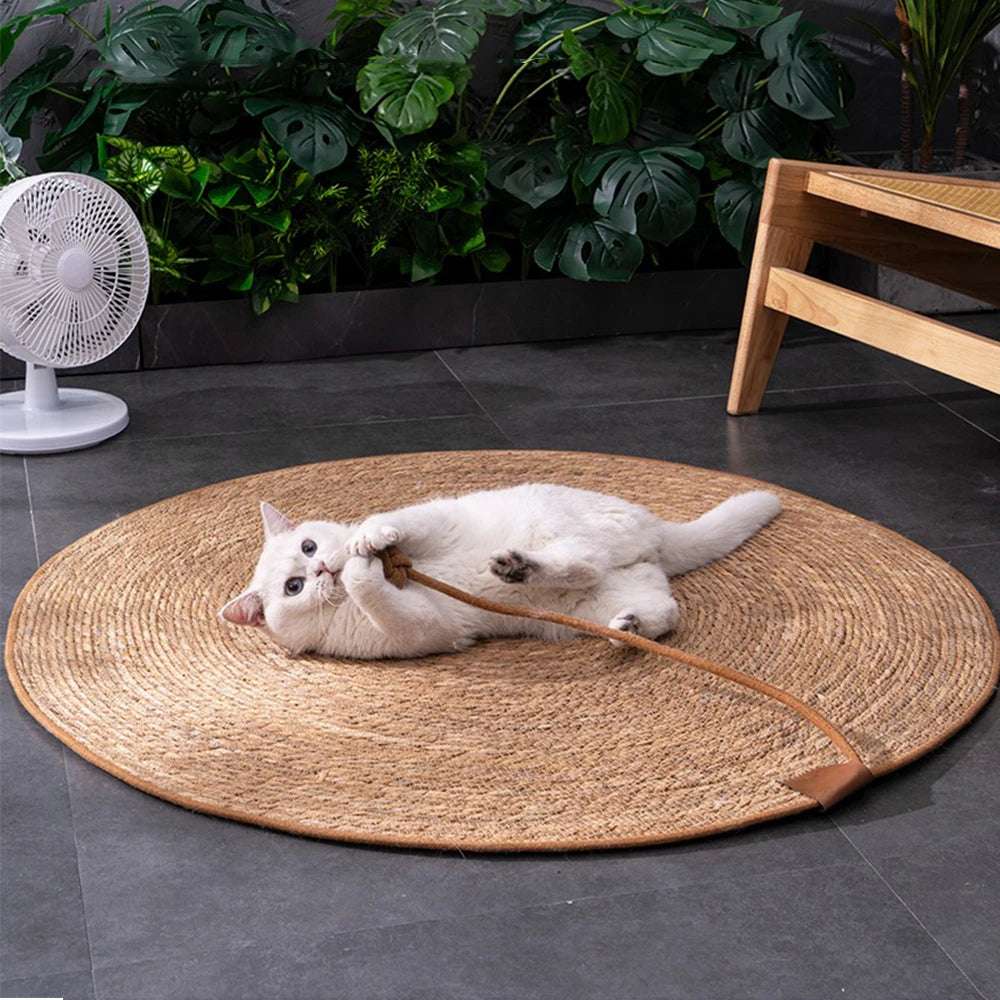 Tapis en Osier pour chat - La Chattitude