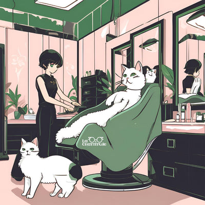 Salon de toilettage - La Chattitude