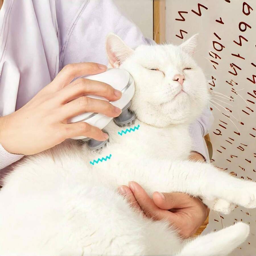 Accessoire Massant Pour Chat Relaxant | SS-Massager™