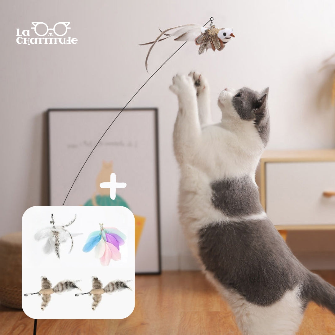 Jouet pour chat | ToyStick™