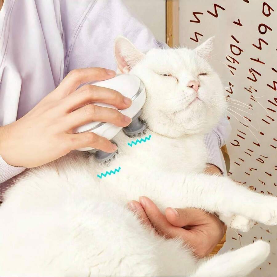 Accessoire Massant Pour Chat Relaxant | SS - Massager™ - La Chattitude