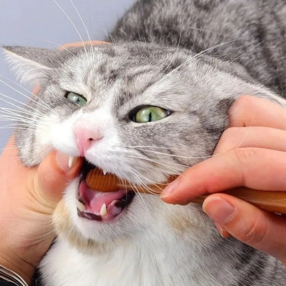 Brosse à dent chat | CleanTeeth™ - La Chattitude