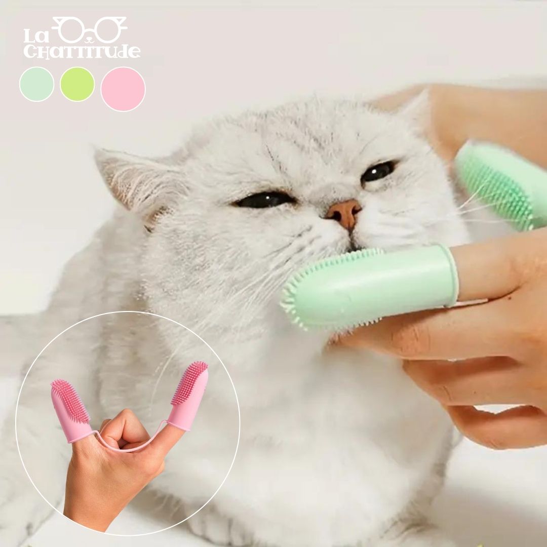 Brosse à Dent Chat en Silicone Double Doigt | CleanBrush™ - La Chattitude