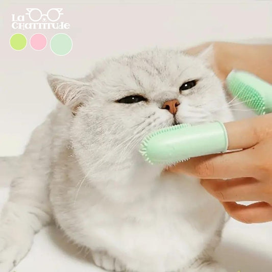 Brosse à Dent Chat en Silicone Double Doigt | CleanBrush™ - La Chattitude