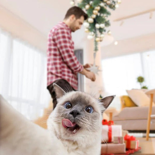 ✨ CADEAU BLACK - WEEKS 🖤 - La Chattitude