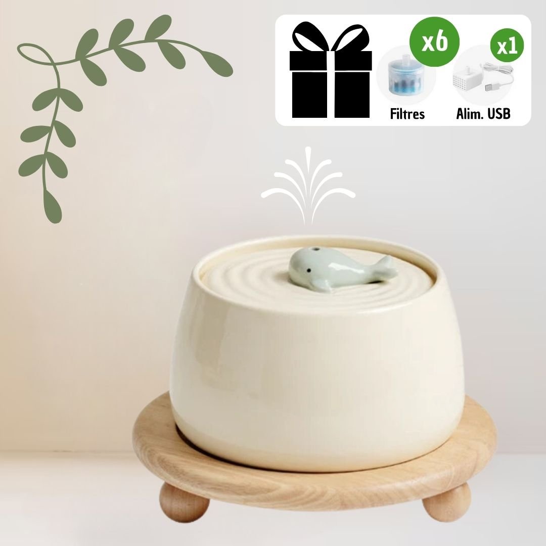 CeramFountain™ | Fontaine & Gamelle en céramique sans fil pour chats & chiens - La Chattitude