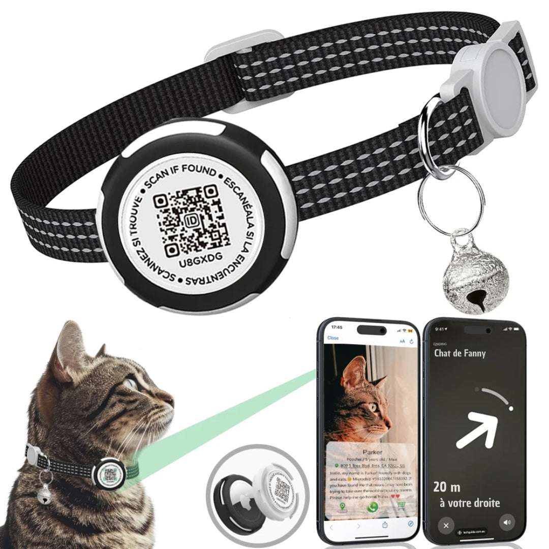 COLLIER GPS CHAT | PurrTracker™ - La Chattitude