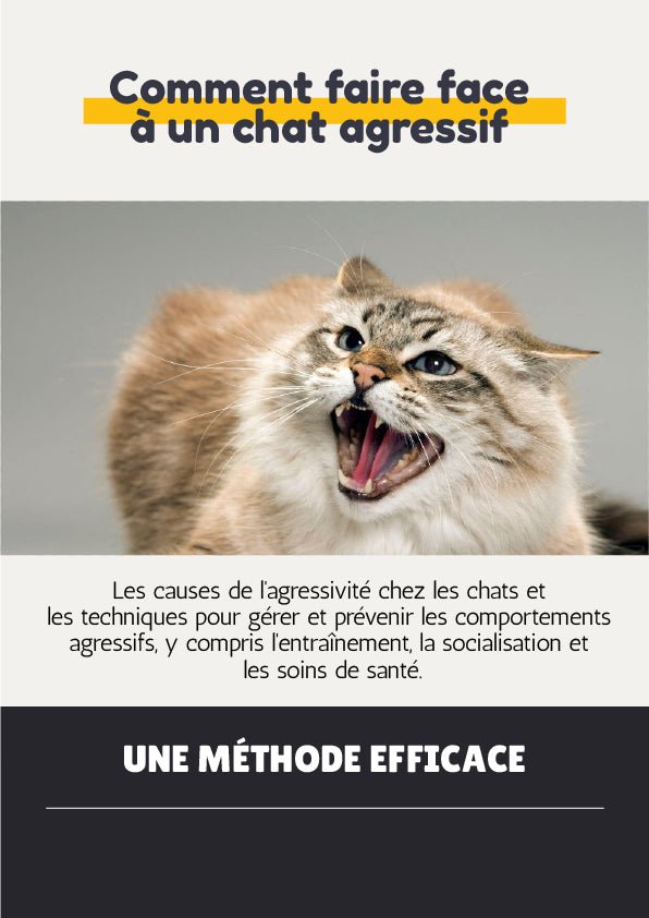 Comment faire face à un chat agressif - La Chattitude