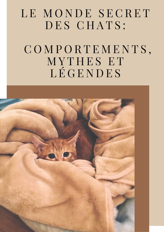 Le monde secret des chats comportements, mythes et légendes