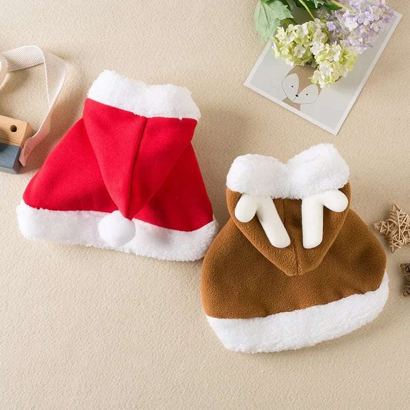 DEGUISEMENT CHAT - Déguisement chat de Noël | KittyCap™ - La Chattitude