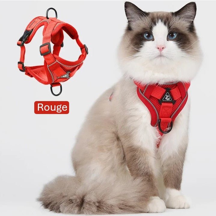 EscapeHarness™ | Harnais Anti - Évasion pour Chats & Chiens - La Chattitude