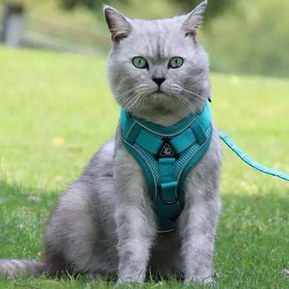 EscapeHarness™ | Harnais Anti - Évasion pour Chats & Chiens - La Chattitude