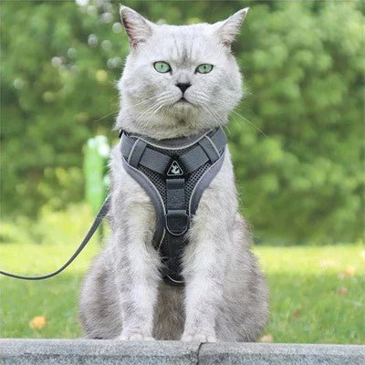 EscapeHarness™ | Harnais & Laisse pour Chats & Chiens - La Chattitude