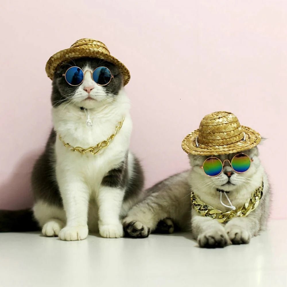 Fashionista™ | Lunettes de Soleil Vintage pour Chats & Chiens - La Chattitude