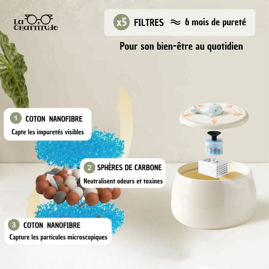 FILTRES FONTAINE CHAT | CeramFountain™ - La Chattitude